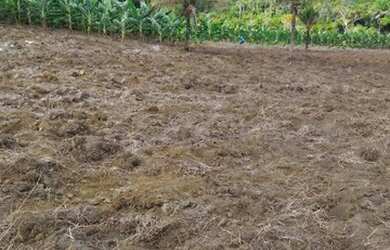 Imagem 7: Vendo excelente fazenda agricultura em Valença