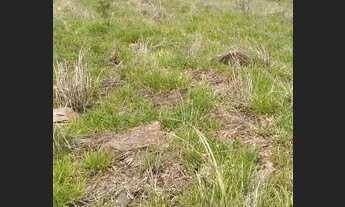 Imagem 3: Lote/Terreno para venda possui 600 metros quadrados em Centro - Mairiporã - SP