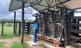 Imagem: Fazenda (região de Goiás velho