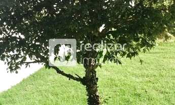 Imagem 5: Casa 3 quartos no bairro centro - Palhoça