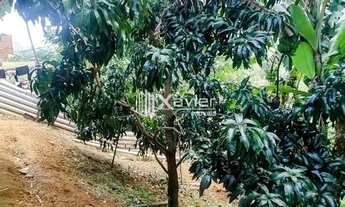 Imagem 4: Chácara com 600 m² à Venda em Cachoeirinha - Guarapari/ES