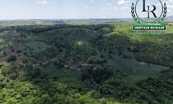 Imagem 4: Oportunidade Chácara 14 Alqueires Próximo de Palmas