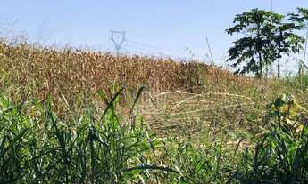 Imagem 4: Chácara à venda em Santa Terezinha de Itaipu no PR