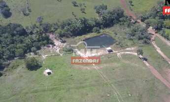 Imagem 4: Fazenda 40 alqueires (193 hectares) Cachoeira de Goias - GO