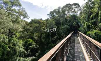 Imagem 7: Erreno à venda no Condomínio Gaia, Santa Felicidade 700 m², bosque, lazer completo e natu