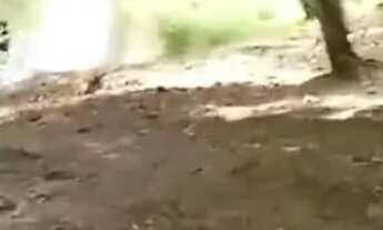 Imagem 3: VENDA ALUGUEL E CARNAVAL