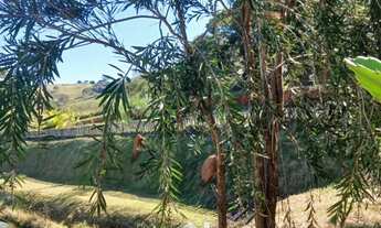 Imagem 6: Chácara em lugar paradisíaco, facil acesso e seguro por ótimo preço!