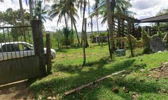 Imagem: Vendo fazenda pecuaria no municipio de jaguaripe