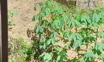 Imagem 2: Alugo kitnet no Candeal