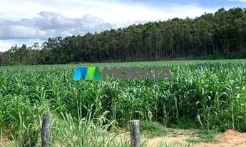 Imagem: FAZENDA À VENDA - 1.456 HECTARES - REGIÃO
