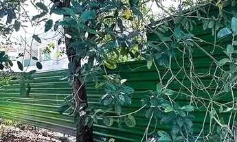 Imagem 3: Lote no Jardim das Americas de esquina e nascente