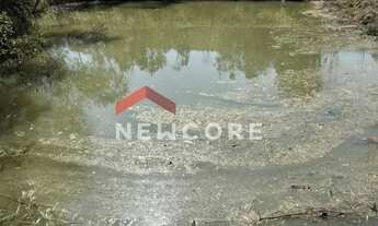 Imagem 7: Chácara em Rua São Josemaria Escrivá - Colônia Murici - São José dos Pinhais/PR