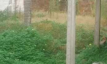 Imagem 3: Terreno 8,70m x 25m