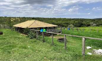 Imagem 3: FAZENDA À VENDA - 273 HECTARES - TRÊS MARIAS (MG