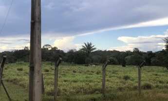 Imagem 6: Fazenda 22 hectares na Manuel Urbano 850.000