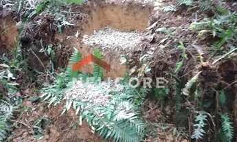 Imagem 6: Chácara em Rua São Josemaria Escrivá - Colônia Murici - São José dos Pinhais/PR