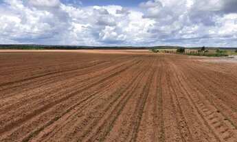 Imagem 4: Fazenda a venda, com dívida Bancária, no Tocantins!!