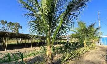 Imagem 7: ÁREA EM SÃO GONÇALO - 3520 m²