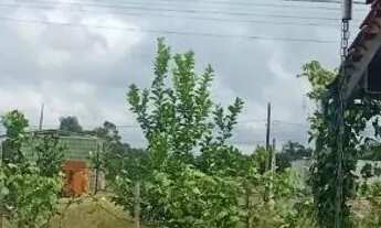 Imagem 7: Vendo casa 130,00