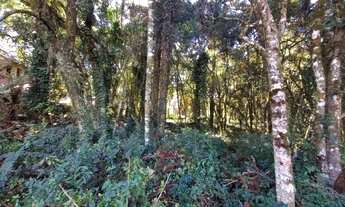 Imagem 7: Terreno à Venda em Canela!