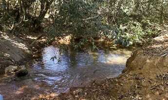 Imagem 7: Fazenda de 654 hectares