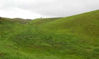 Imagem 5: Venda-se está propriedade de 42 Alqueires no Município de Kennedy-ES