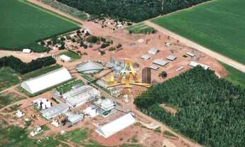 Imagem 6: Fazenda à Venda - Nova Mutum/MT