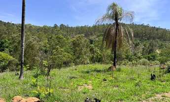 Imagem 3: Terreno Estratégico Perfeito para Construção!