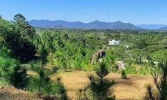 Imagem 4: Oportunidade de Terreno à venda, 9090 m² por R$ 1.700.000 - Canasvieiras - Florianópolis/S