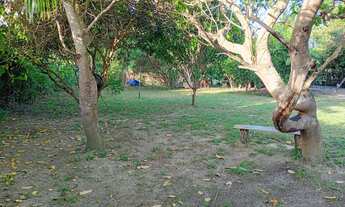 Imagem 5: Vendo um sítio e uma casa no porto do mocagituba, Paço do Lumiar