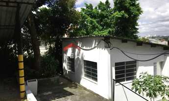 Imagem 7: Galpão em Avenida Doutor Assis Ribeiro - Engenheiro Goulart - São Paulo/SP