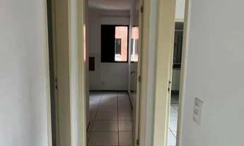 Imagem 7: Alugo GRAND Park pássaros com projetados