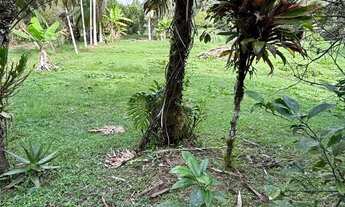 Imagem 7: Chácara plana próxima a Juquitiba