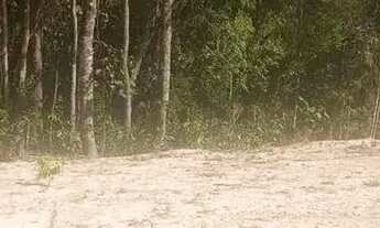 Imagem: Lote em condomínio em Alameda Lago da Cantareira