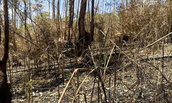 Imagem 6: Terreno pra chácara em Ibiúna 500m pronto pra construir