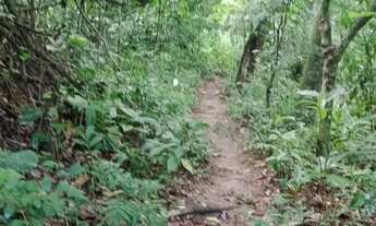 Imagem 2: Vendo sítio de 10.000m2 no rio da prata de Campo Grande