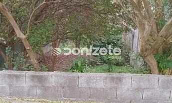 Imagem 4: Terreno à venda, 507 m² por R$ 1.000.000,00 - Vila Guiomar - Santo André/SP