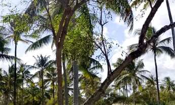 Imagem 2: Vendo lote lagoa redonda Pirambu