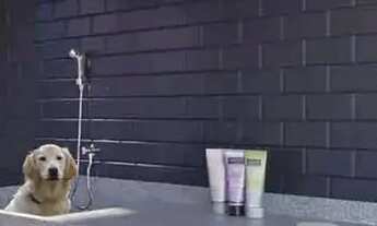 Imagem 3: Ilha De Lanai, Apartamentos Tipo Studio, 1/4 E 2/4 Com Suíte, Entre 28, 40 E 62M² Em Pedra