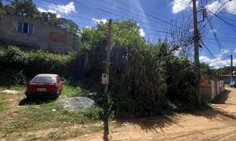 Imagem 5: Vende-se Terreno 342m² - Jd. Alegria - Francisco Morato/SP