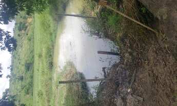 Imagem 3: Vendo Fazenda 20 alqueires São Gabriel da Palha