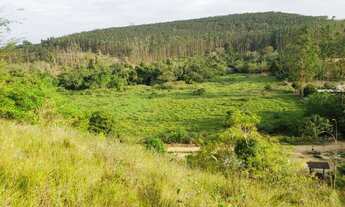 Imagem 4: Vendo Fazenda 20 alqueires São Gabriel da Palha