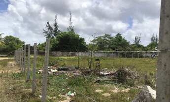 Imagem 5: Excelente terreno em pium 911m2