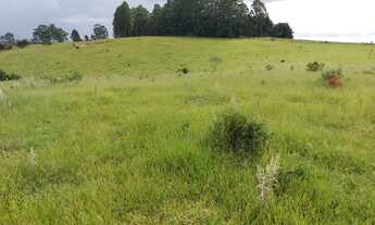 Imagem 7: Sorocaba Região Sítio 20 Alqueires