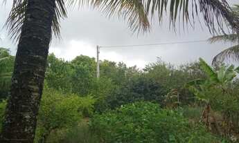 Imagem 5: Maravilhoso sitio - Saquarema - RJ