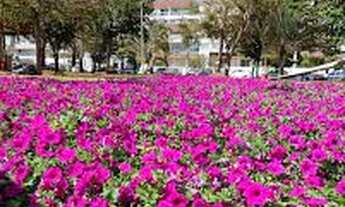 Imagem 3: Belíssimo compacto de luxo suíte máster 70 metros 2 quartos frente a praça leo lynce no se