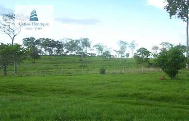 Imagem 6: Fazenda para Venda em Interior Poconé-MT