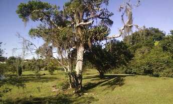 Imagem 3: Terreno com 387m² no bairro Canasvieiras em Florianópolis para Comprar
