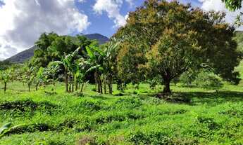 Imagem: 3.5 alqueires em Rio Seco - Saquarema