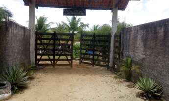 Imagem 2: Vendo sítio com 27.000m² próximo linha verde/Arembepe - R$ 450.000,00